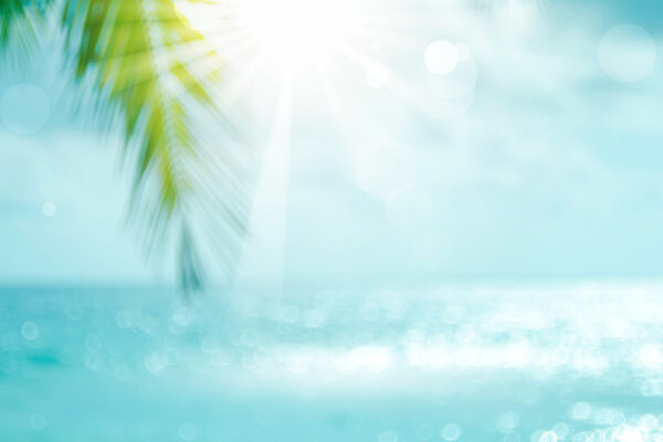 宅建＜5問免除科目＞攻略方法【2022年版】