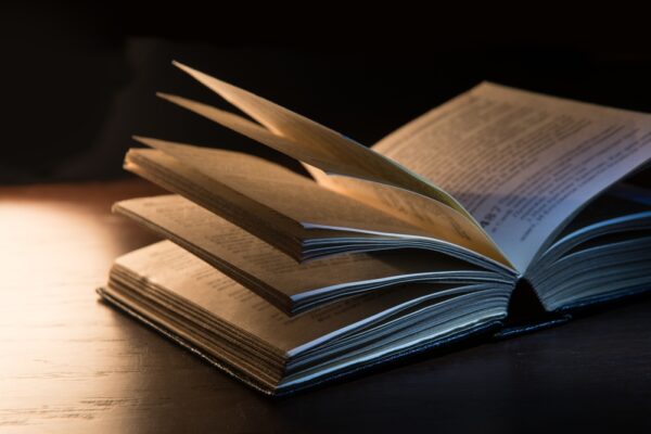 宅建士は仕事がないって本当？解決策や将来性を解説！