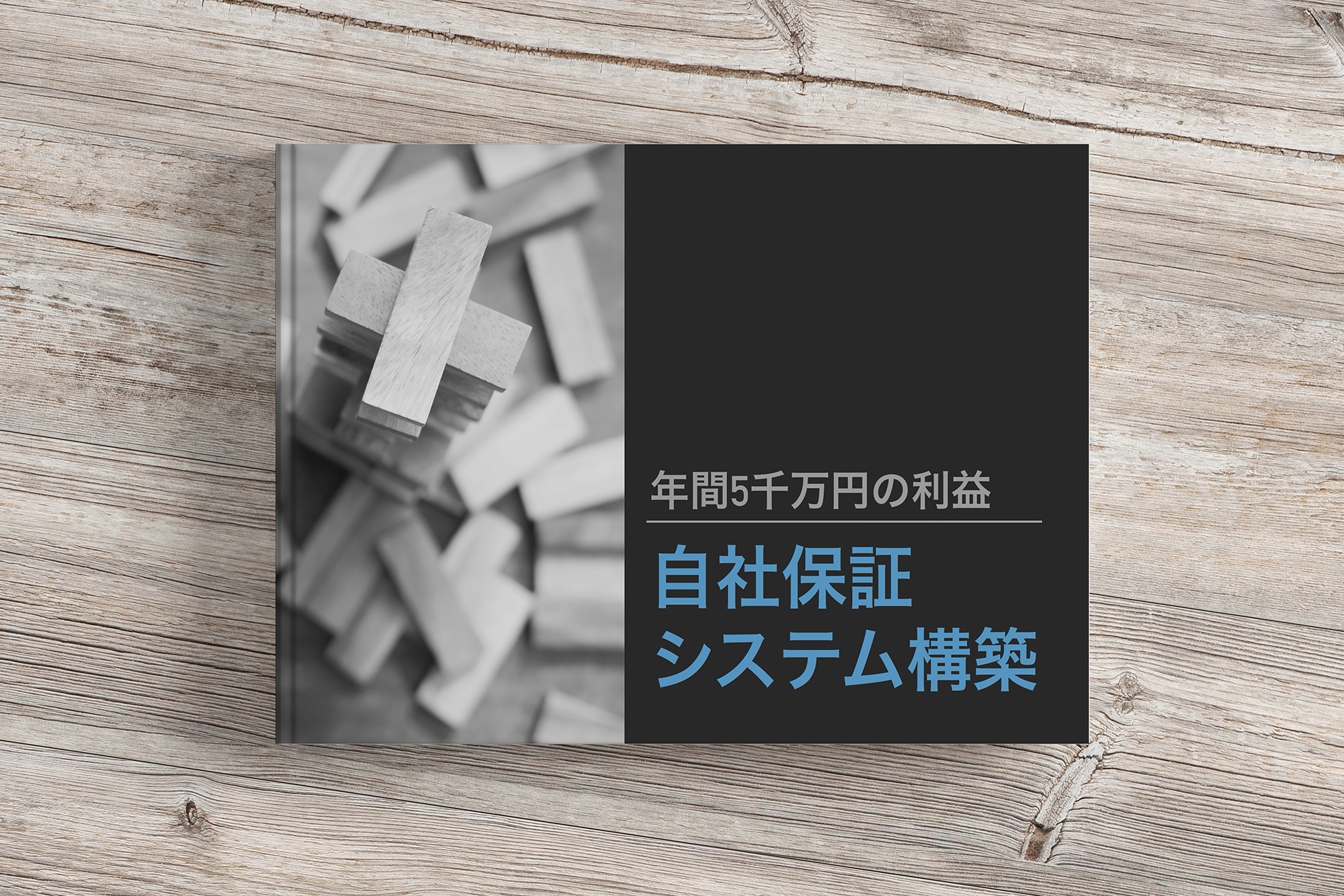 無料e-book「年間５千万円の利益 / 自社保証システム構築」